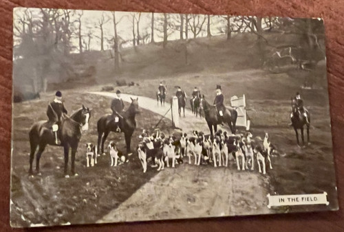 Antique postcard fox - , hunting