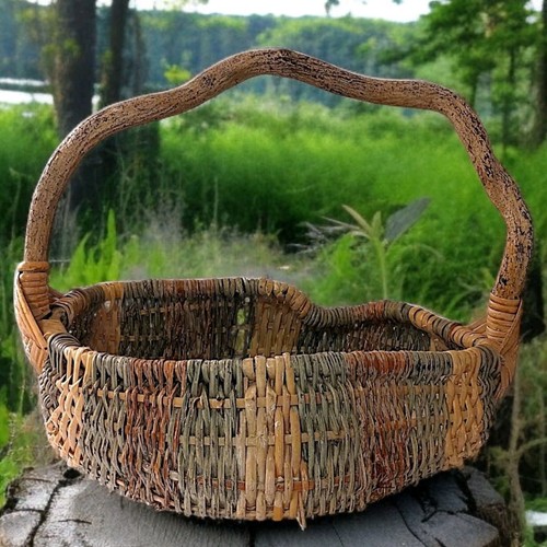 Vintage bentwood gathering - bentwood,