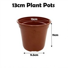 13cm plant pots - plant, terracotta