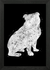 English Bulldog Puppy Framed