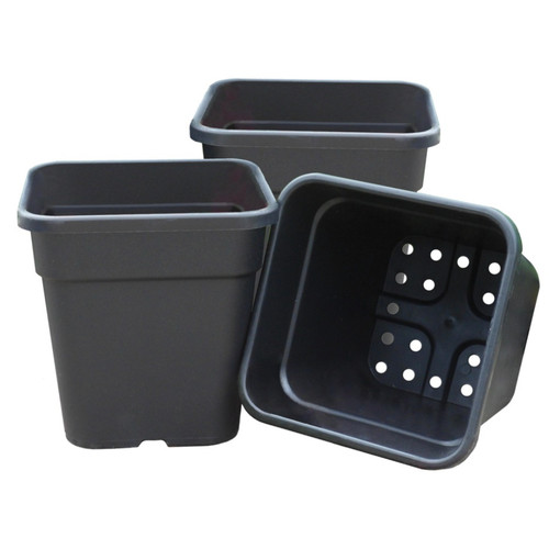 25cm plastic plant pots garden - plant,