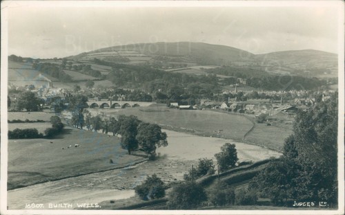 Builth wells judges c1952