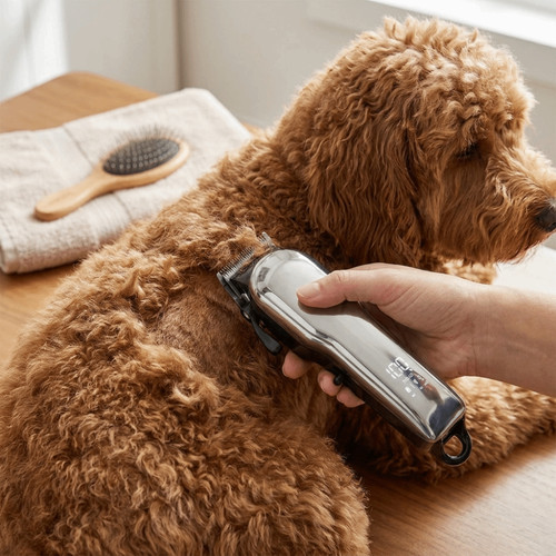 Low noise pet hair - pet,