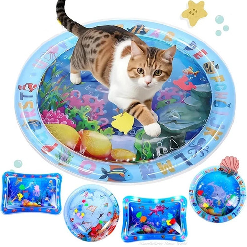 Cat dog water play - water,