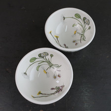Vintage Portmeirion The Queens Hidden Garden 5" Desert Bowls x 2