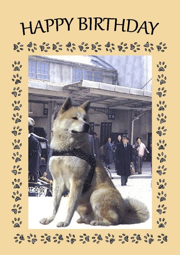 Japanese akita dog birthday - dog,