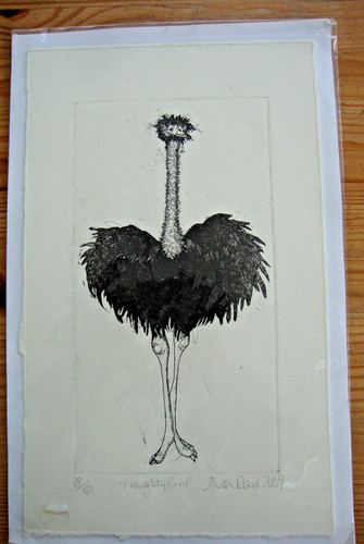 Naughty bird etching alison - bird, by