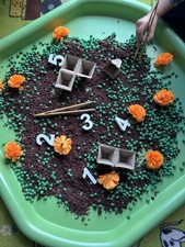 🌼Discover Playdays Growing