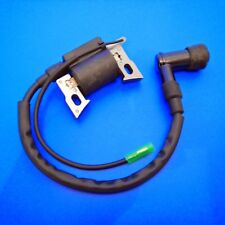 Ignition Coil & Spark Plug Cap