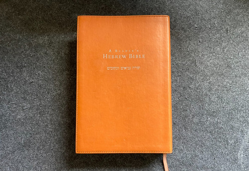 Reader hebrew bible - reader's,