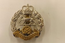 MILITARY BADGE ROYAL HAMPSHIRE REGIMENT 4.75CM X 4.25CM (277)