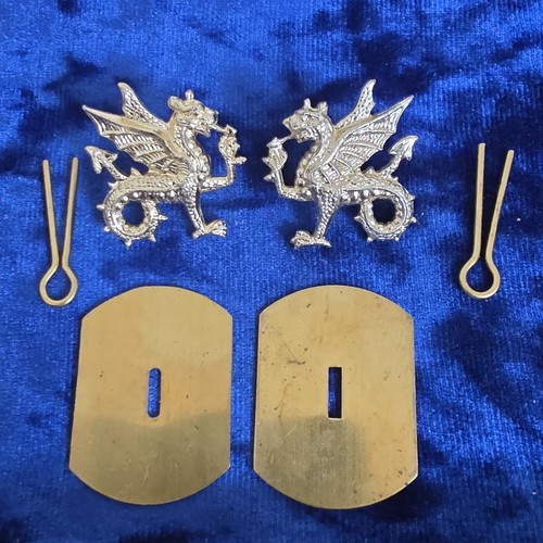 Pair wessex regiment - pair,