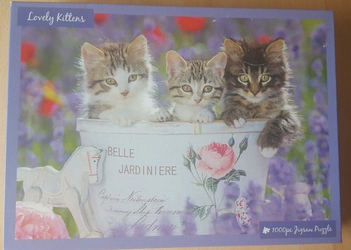 Lovely kittens innovakids - lovely, by
