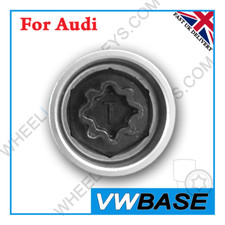 for Audi Security Master
