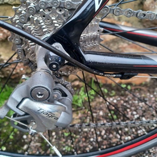 Vitus venon cabon - vitus,