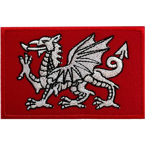 White dragon flag patch - flag,