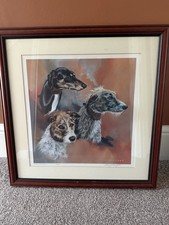 Lurcher Framed Print by Vic
