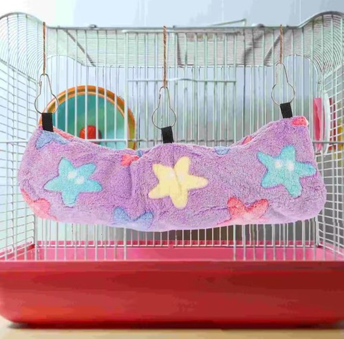 Pet rat rodent - rodent, cage