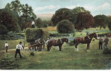 Agriculture mk760 horse - agriculture,