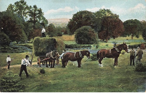 Agriculture mk760 horse - ag#mk760,