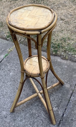 Bent cane rattan plant - rattan,