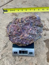Rare Live rocks Live Rocks
