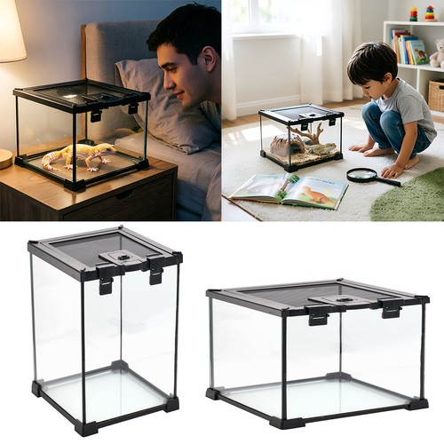 Clear glass reptile terrarium - glass,