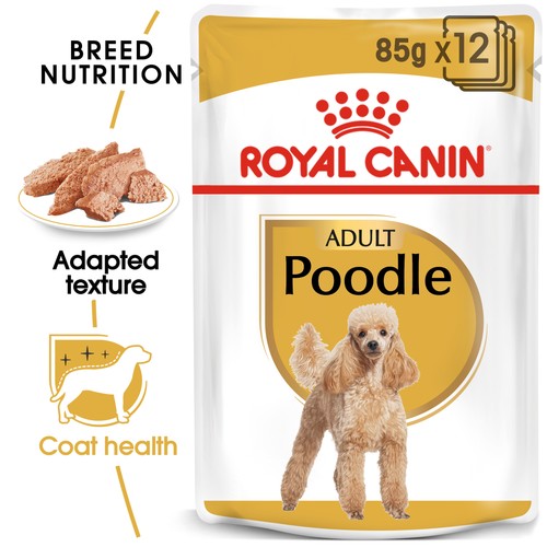 Royal canin poodle adult - poodle,