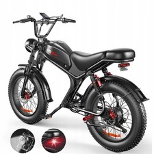 20'' Fat Tire Electric Bike W1000 48V 20Ah EMOKO C93 Mountain E-Bike for Adult