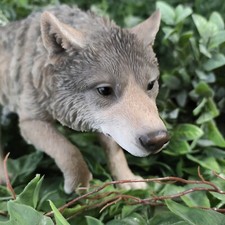 Vivid Arts - Prowling Wolf