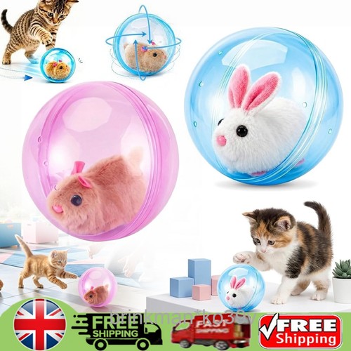 Self rolling interactive - interactive, cat