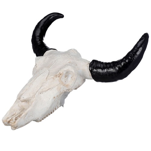 Cow skull wall - cow,