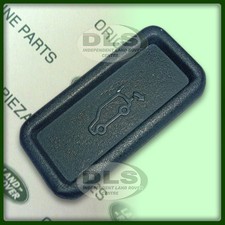 Rear Lower Tailgate Release