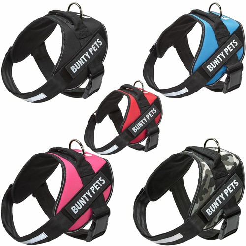 Bunty yukon dog puppy harness - puppy,