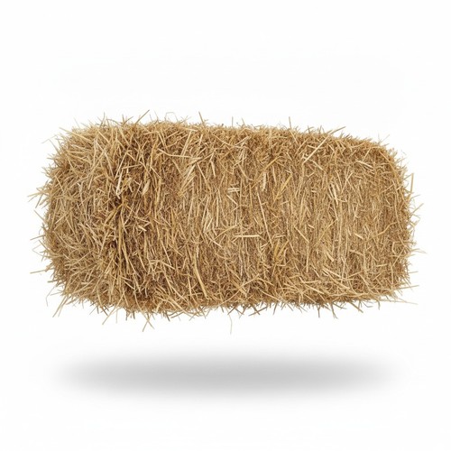 Barley straw bale feed - straw, quality