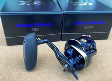 Daiwa saltiga baitcasting - daiwa, 25