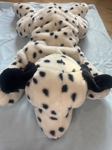 Animal alley dalmatian dog - animal,