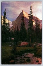 Vintage Postcard Lone Eagle