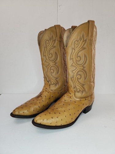 Old stock chisholm ostrich - stock,