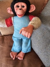 Jacko Chimpanzee Monkey
