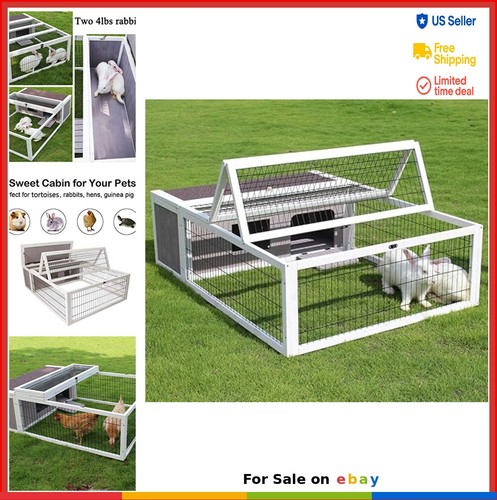 Wooden tortoise house habitat - tortoise,