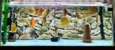 Aquarium background for - background, 3d