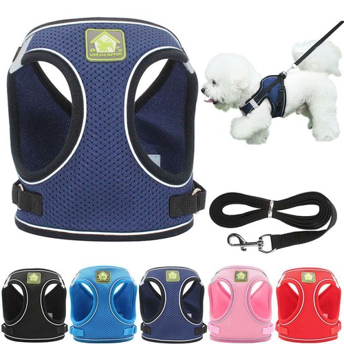 Adjustable control pull dog - no,