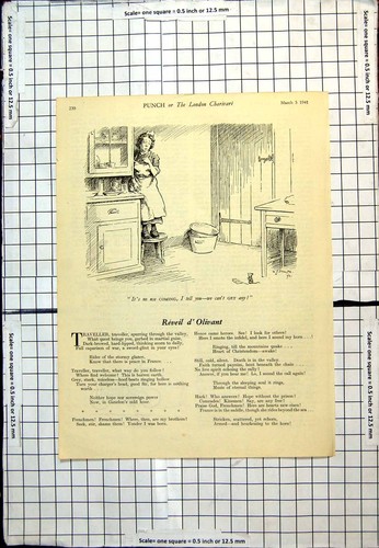 Antique print punch cartoon - antique,