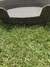 Rattan Dogs Bed