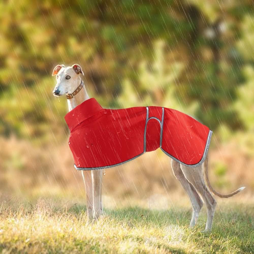 Lightweight whippet coats - lightweight,