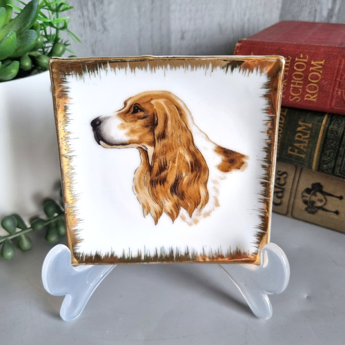 Vintage ceramic springer - vintage,