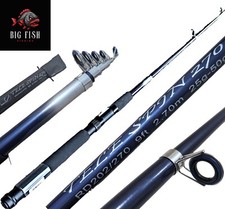 Fibreglass Telespin Spinning