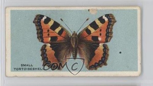 1983 grandee british - 1983,