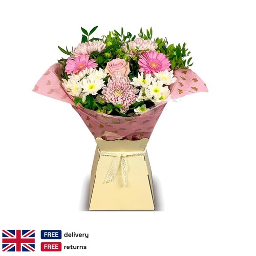 Fresh pink white - fresh, rose
